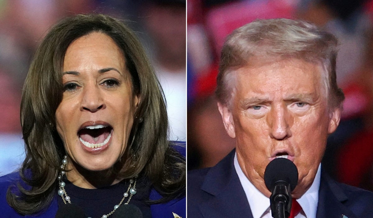 Últimos actos de campaña: Trump y Harris buscan apoyo latino e indecisos en Milwaukee y Michigan.