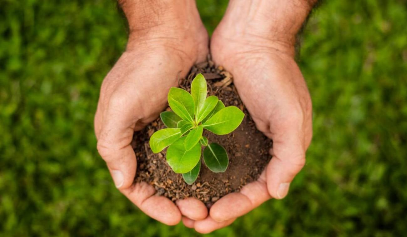 Colombia sube en ranking de cambio climático: ¿Qué significa para el país?
