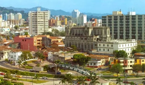 Pereira