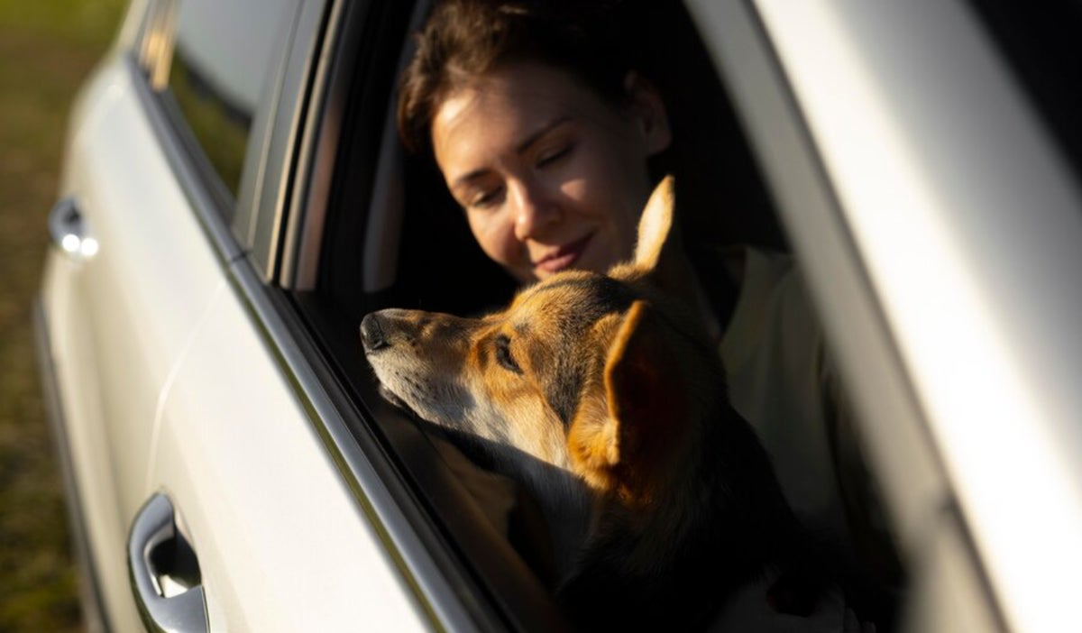 Uber ahora permite viajes con mascotas