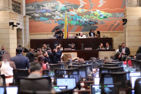 Plenaria de de la Cámara de Representantes.