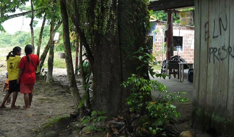 Arauca