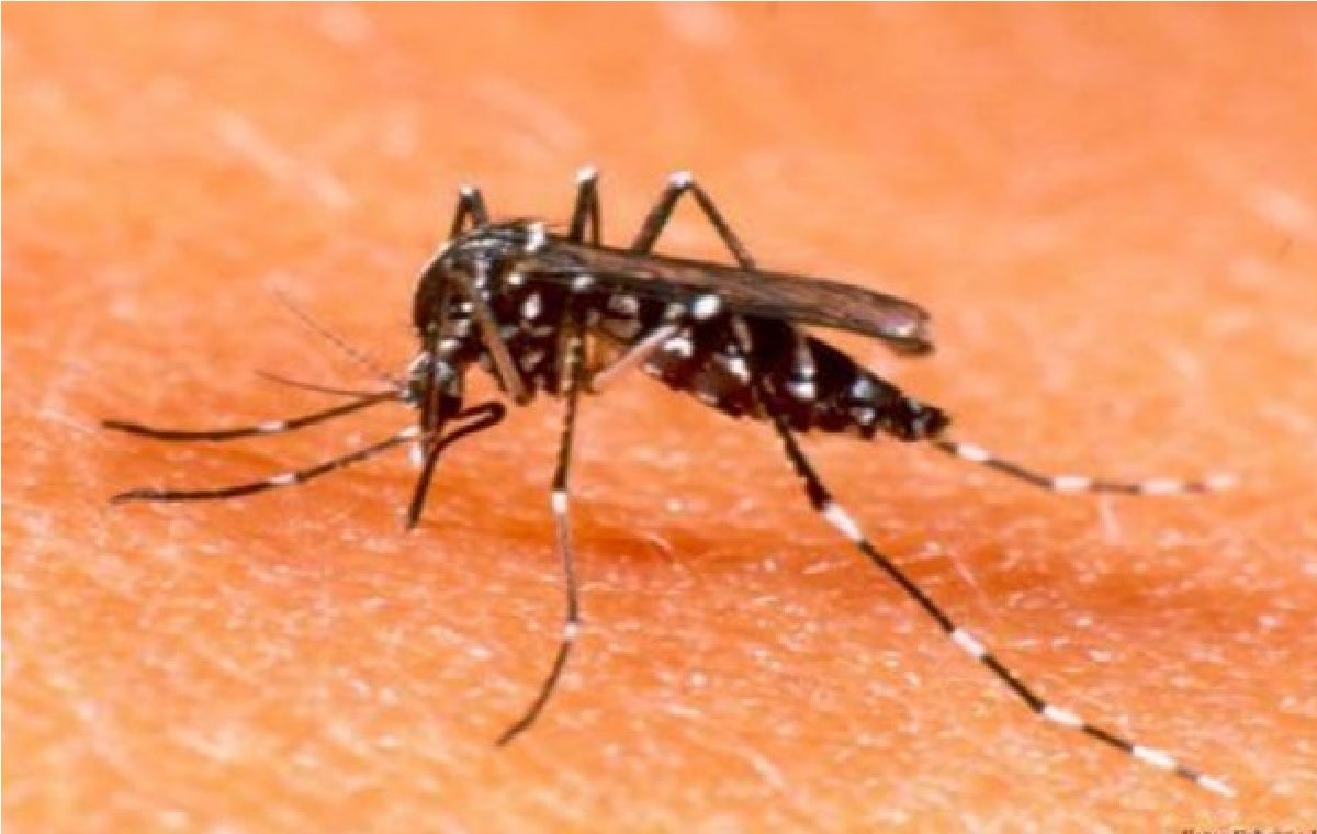 Dengue en Colombia