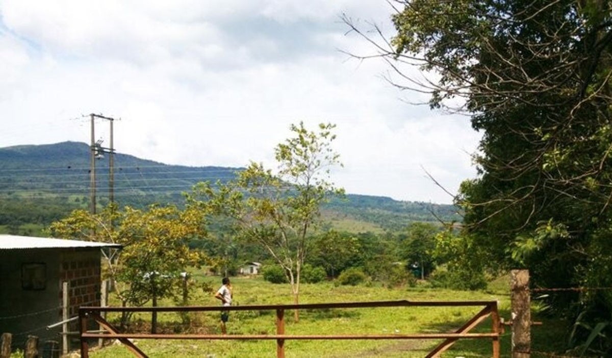 El Zulia