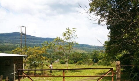 El Zulia