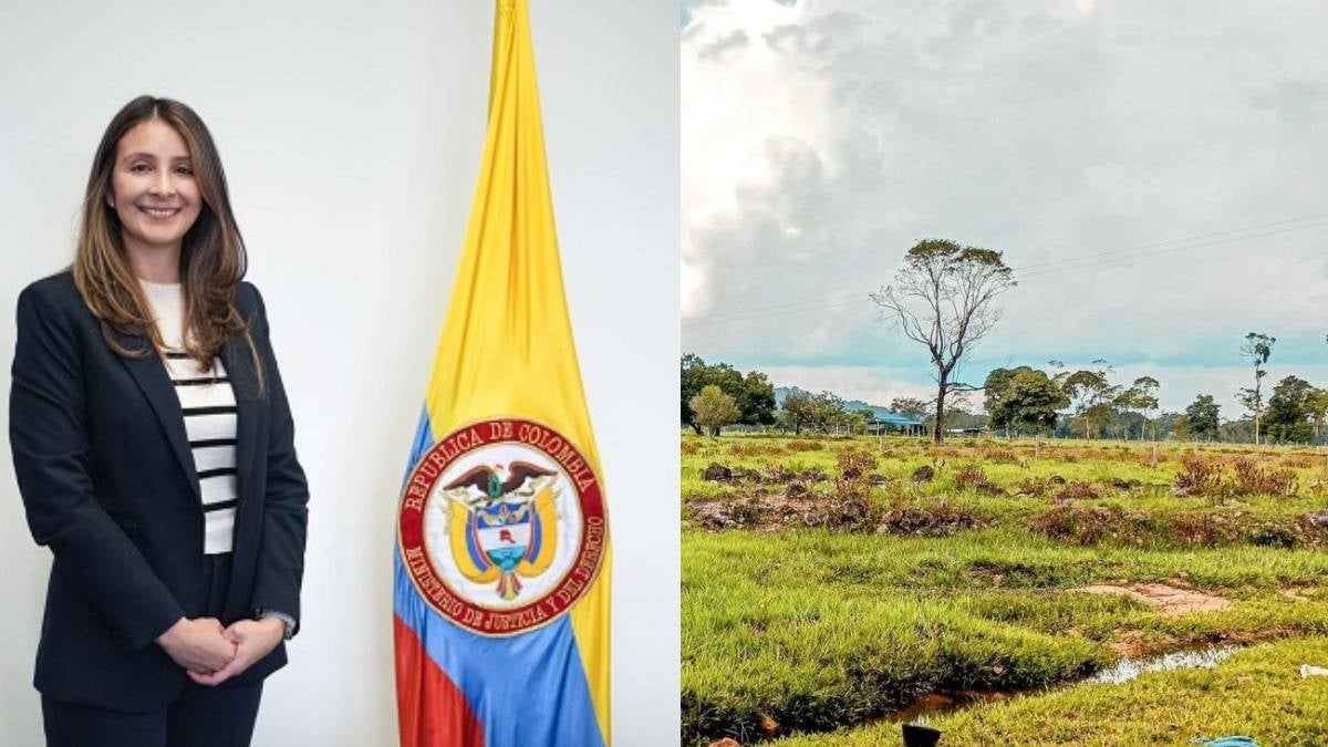 Helen Ortiz Carvajal, Viceministra de Justicia