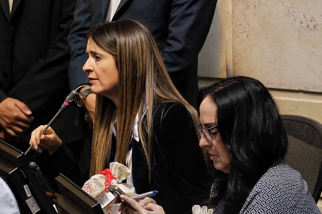 Paloma Valencia, Senadora