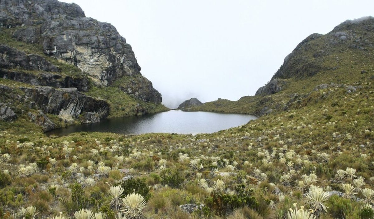 Páramo de Santurbán