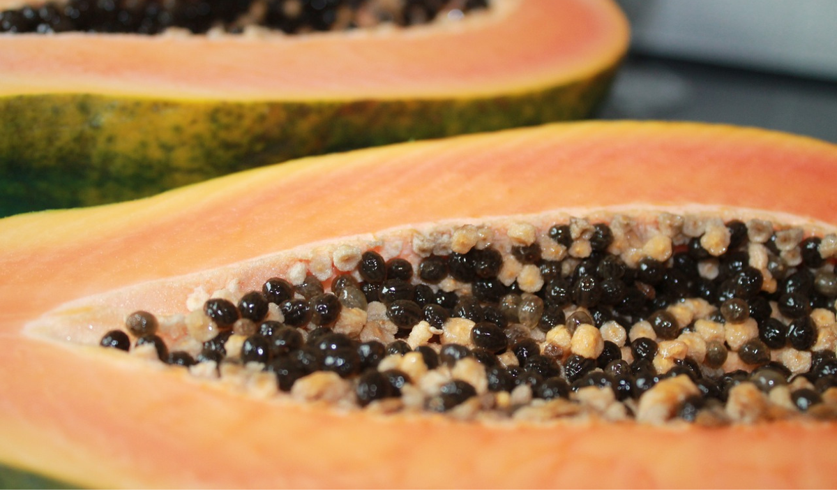 Papaya