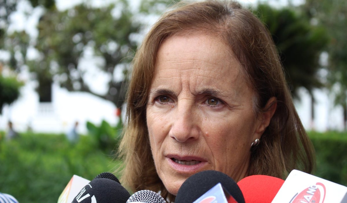 Salud Hernández revela que las Farc no entregaron caleta de oro