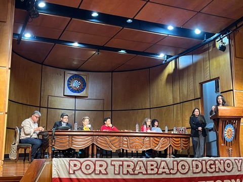 Audiencia Pública de Reforma Laboral
