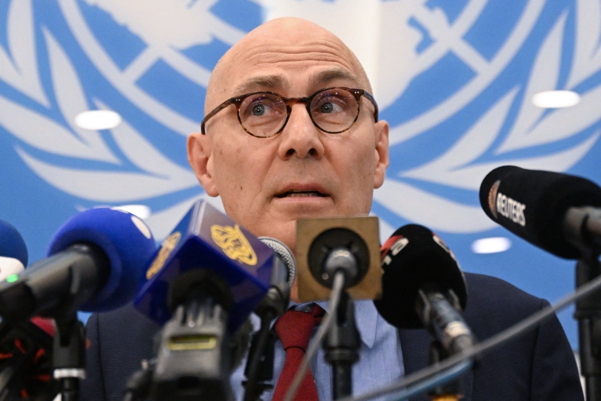 Alto comisionado de las Naciones Unidas para los Derechos Humanos, Volker Türk