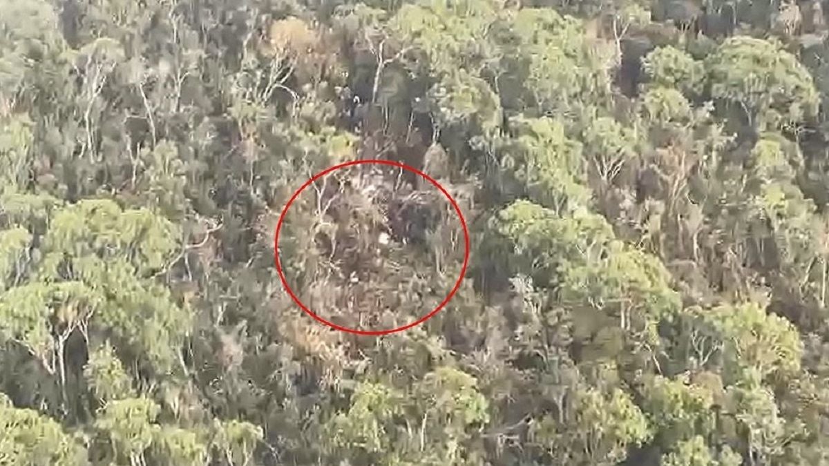 Avioneta accidentada - 2025 - Antioquia