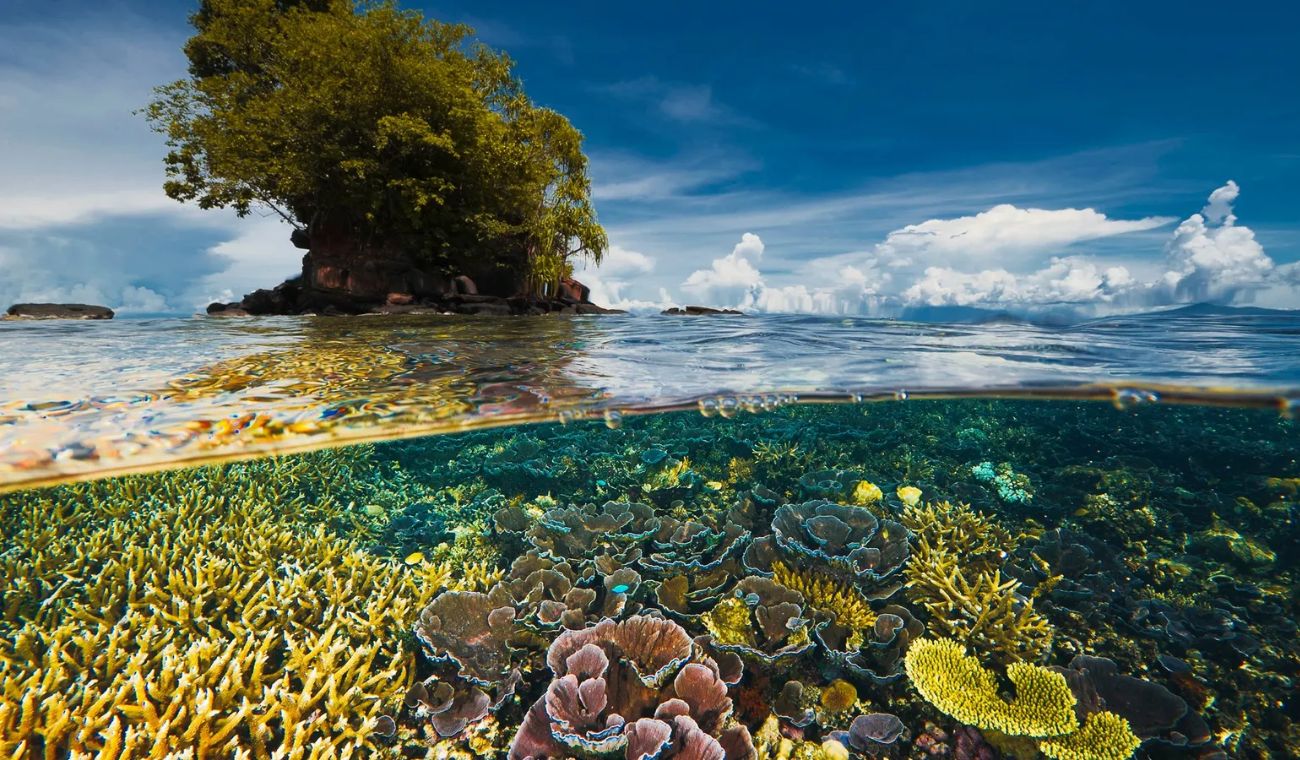 Biodiversidad