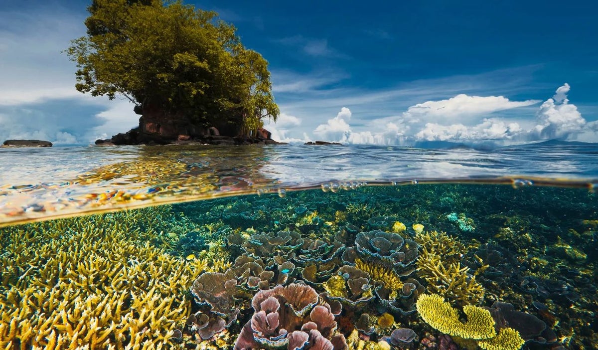 Biodiversidad