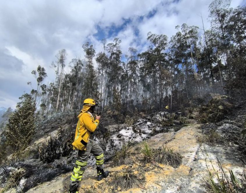 Incendio forestal en los cerros del norte de Bogotá