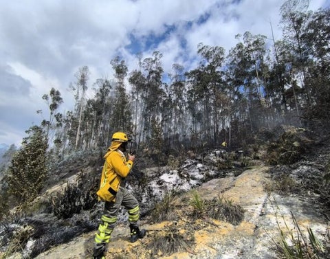 Incendio forestal en los cerros del norte de Bogotá