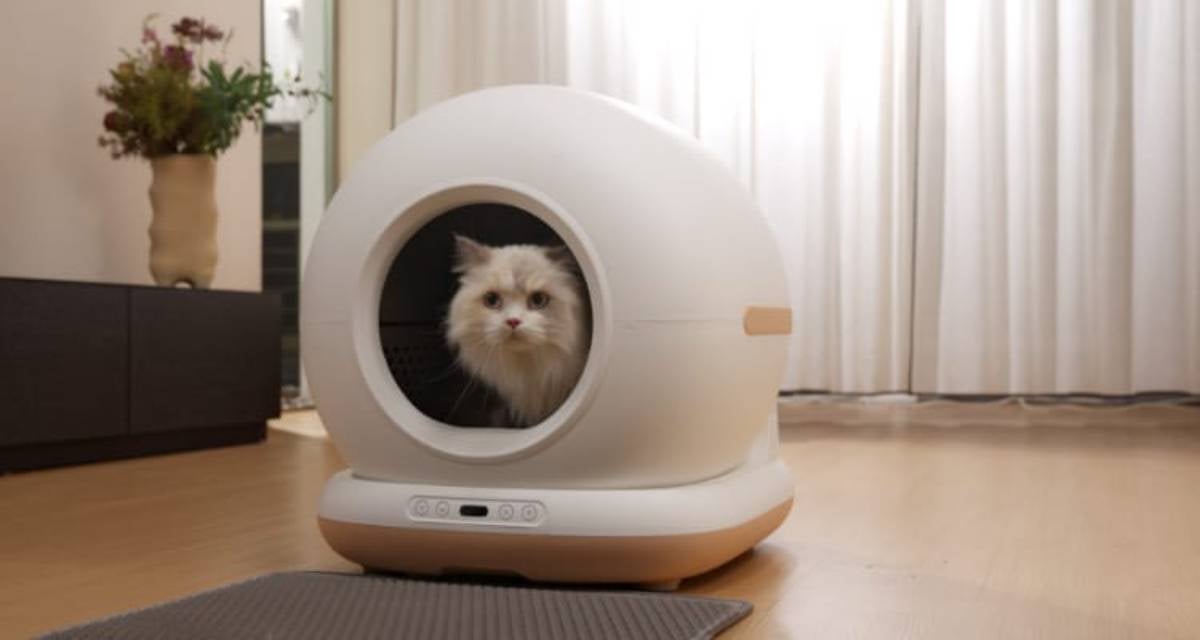 Caja de arena inteligente para gatos