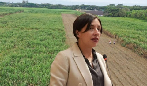 Expropiación de tierras