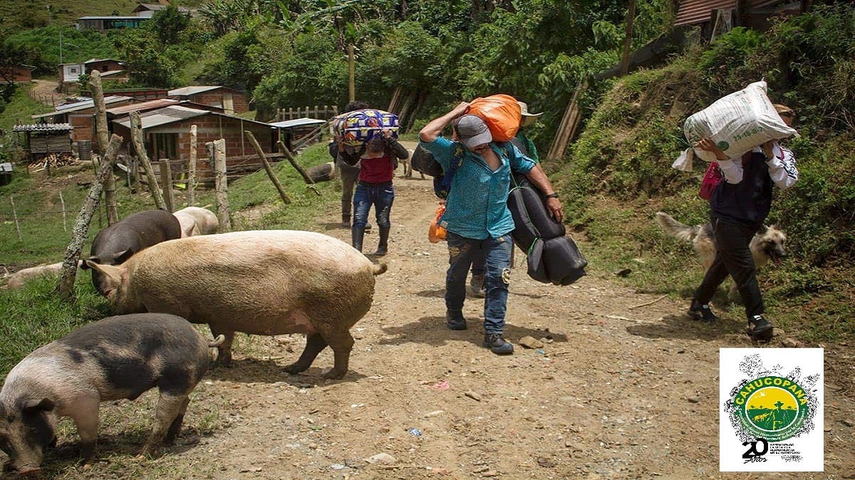 Más de 60 personas desplazadas estaría dejando enfrentamientos entre grupos armados en zona rural del municipio de Segovia, Antioquia