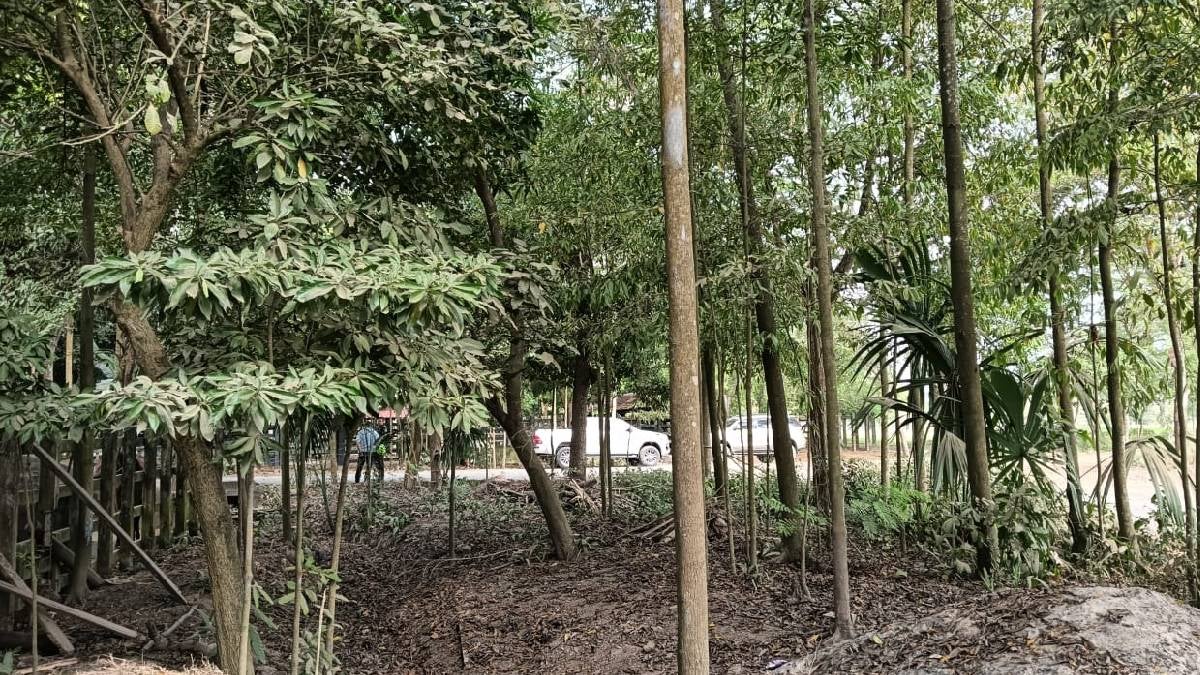 Hacienda Ubérrimo - Uribe - Córdoba