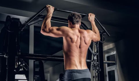 Masa muscular