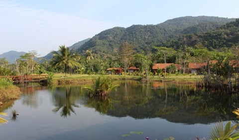 La Selva del Amazonas
