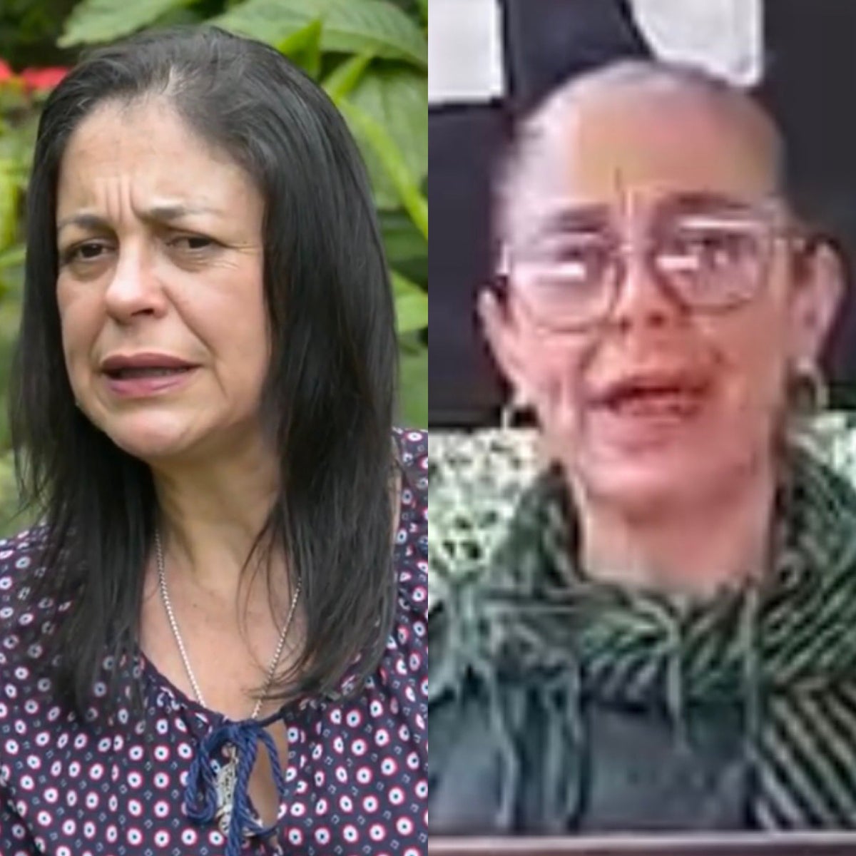 Alias Silvana Guerrero del Eln