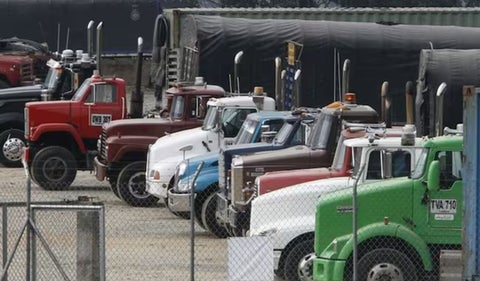 Transportadores