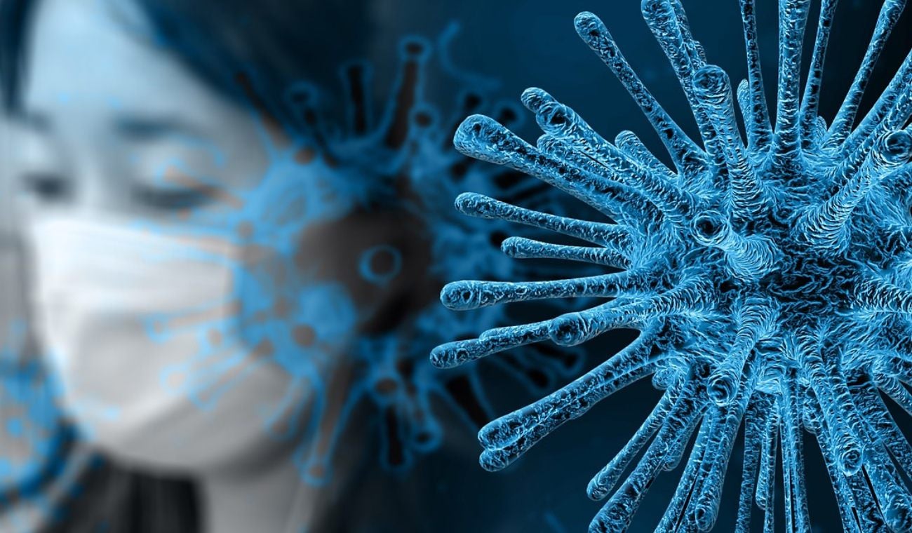 El metapneumovirus humano (MPVH) fue descubierto en 2001