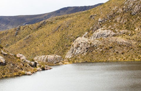 Páramo de Santurbán