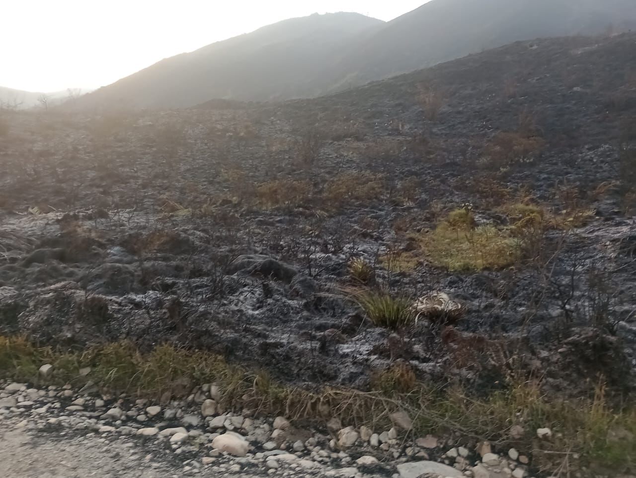 Incendio forestal en Chingaza