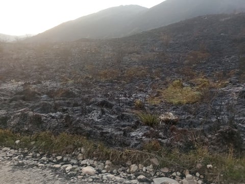 Incendio forestal en Chingaza