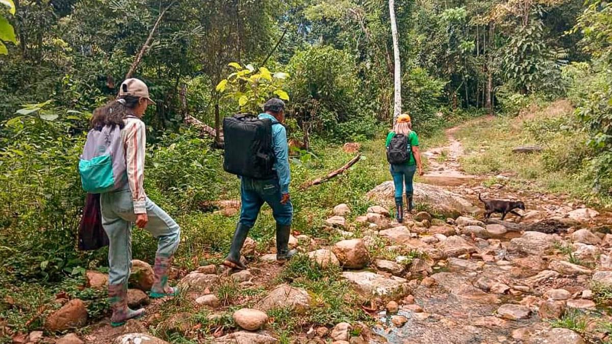 Agencia Nacional de Tierras