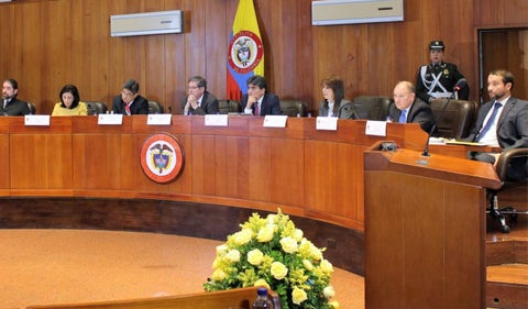 Corte Constitucional