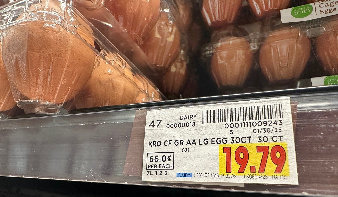 Estadounidenses compran gallinas por alto precio de huevos