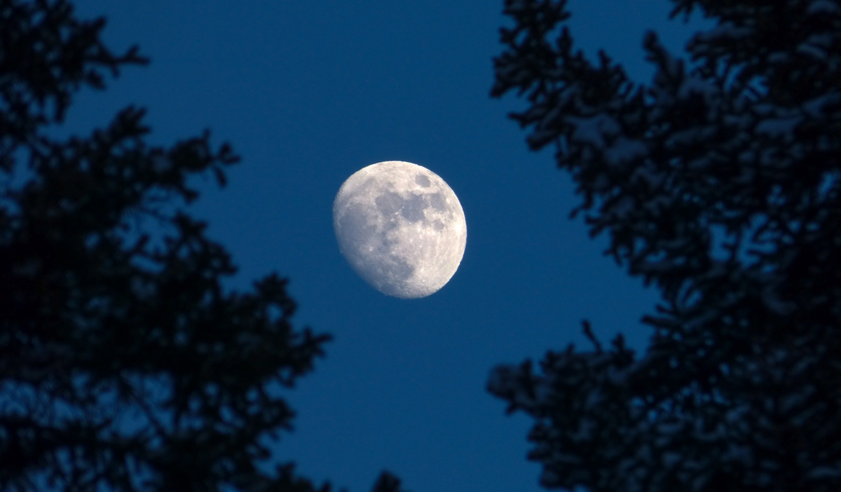Luna de nieve 2025: fecha, hora y dónde verla en su máximo esplendor