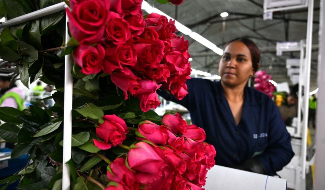 San Valentín