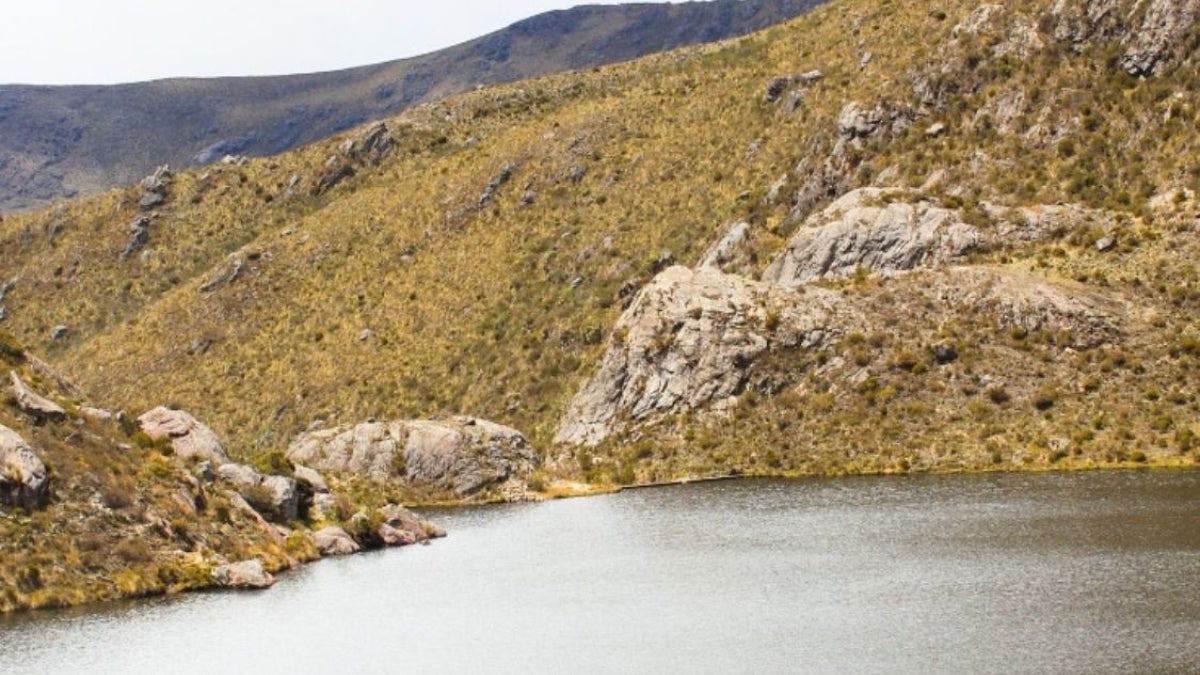 Páramo de Santurbán