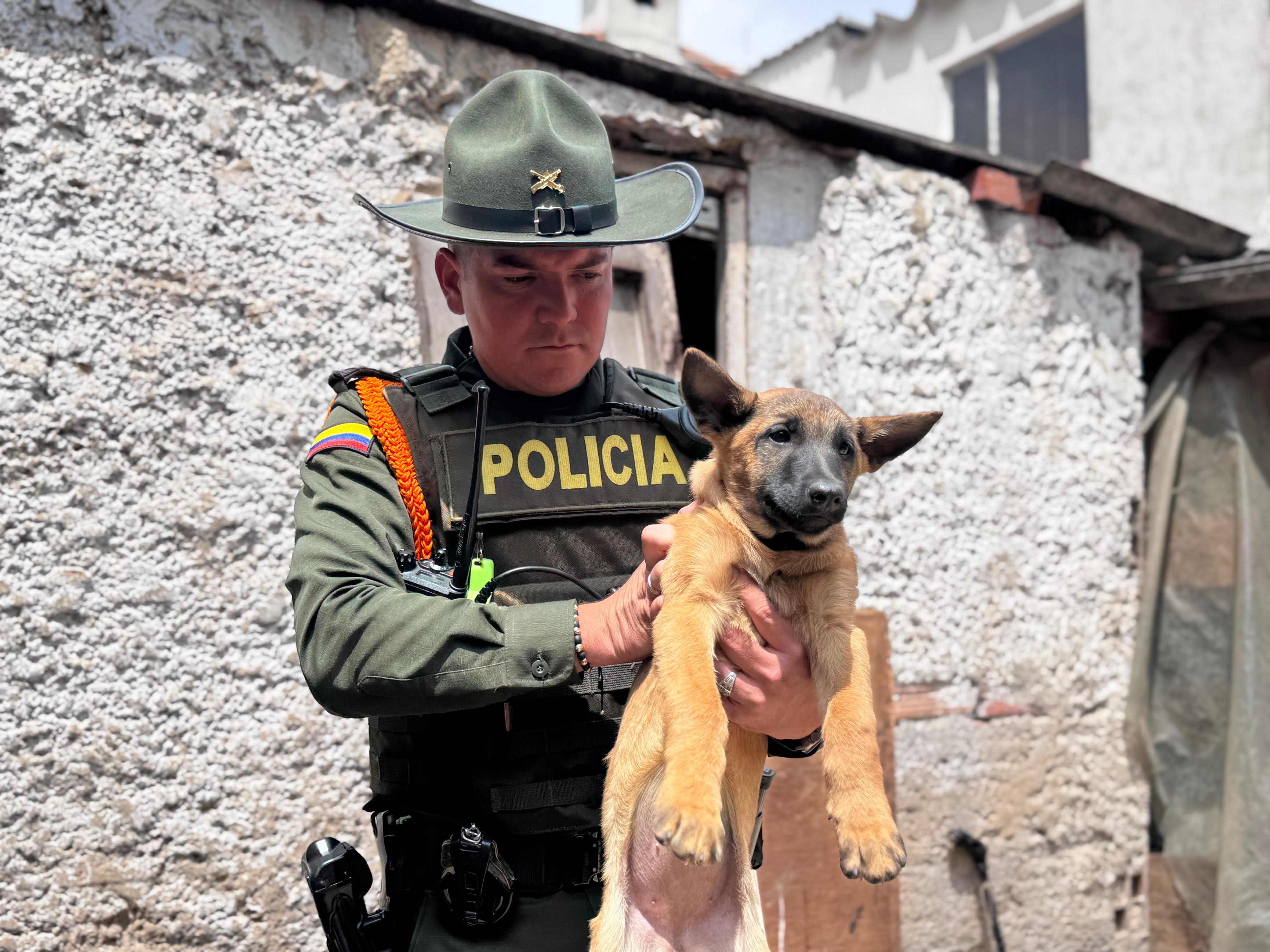 Rescatan amínales en criadero ilegal en Bogotá