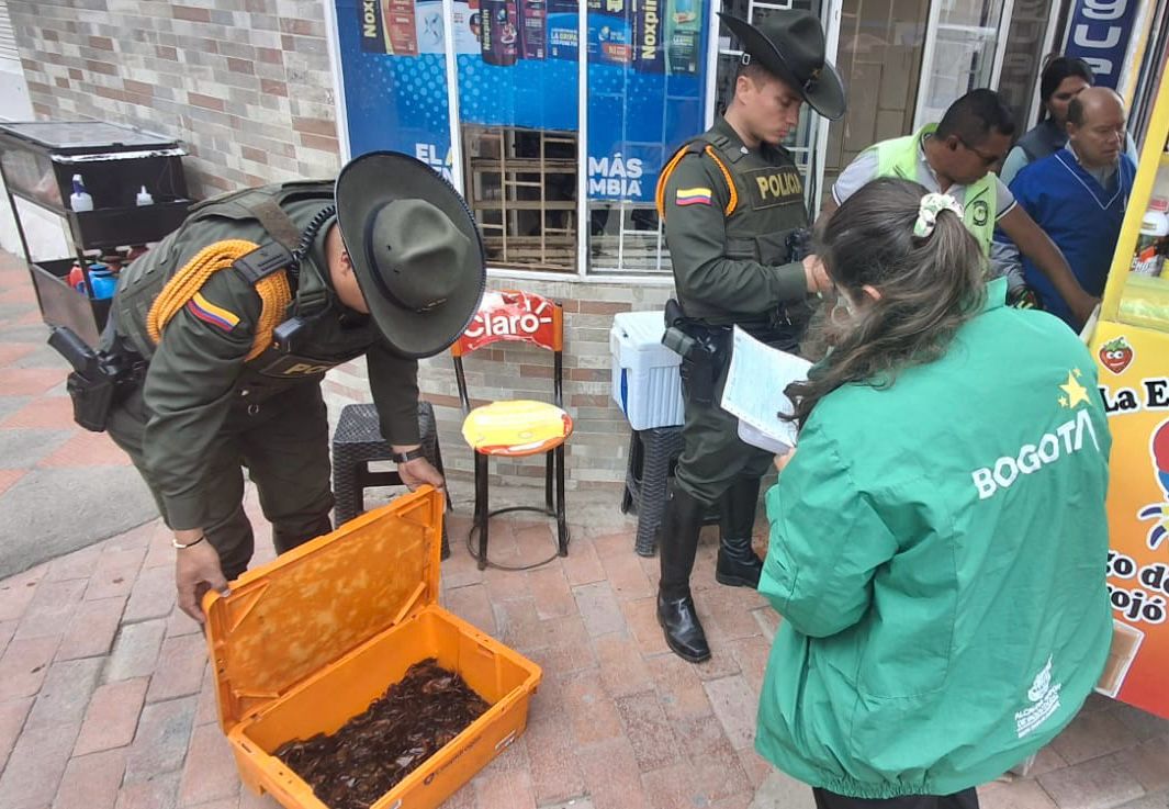 Tráfico de Fauna l Bogotá l Febrero 2025