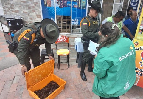 Tráfico de Fauna l Bogotá l Febrero 2025