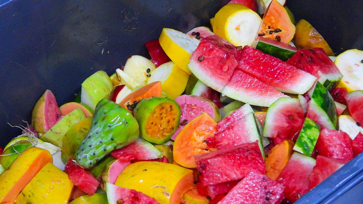 Alimentos para la fauna silvestre en Antioquia