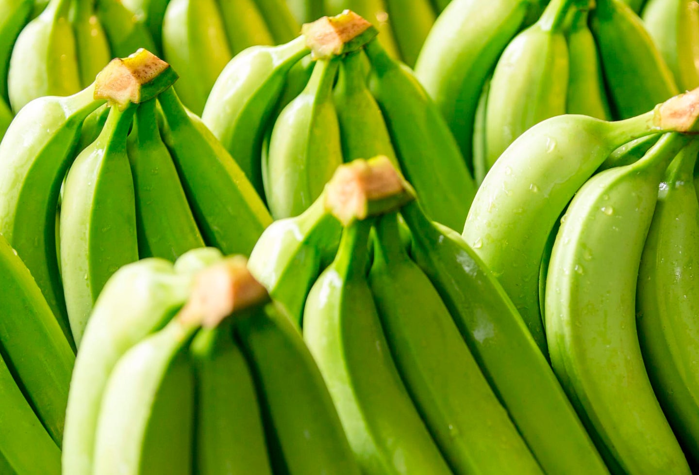 Bananos