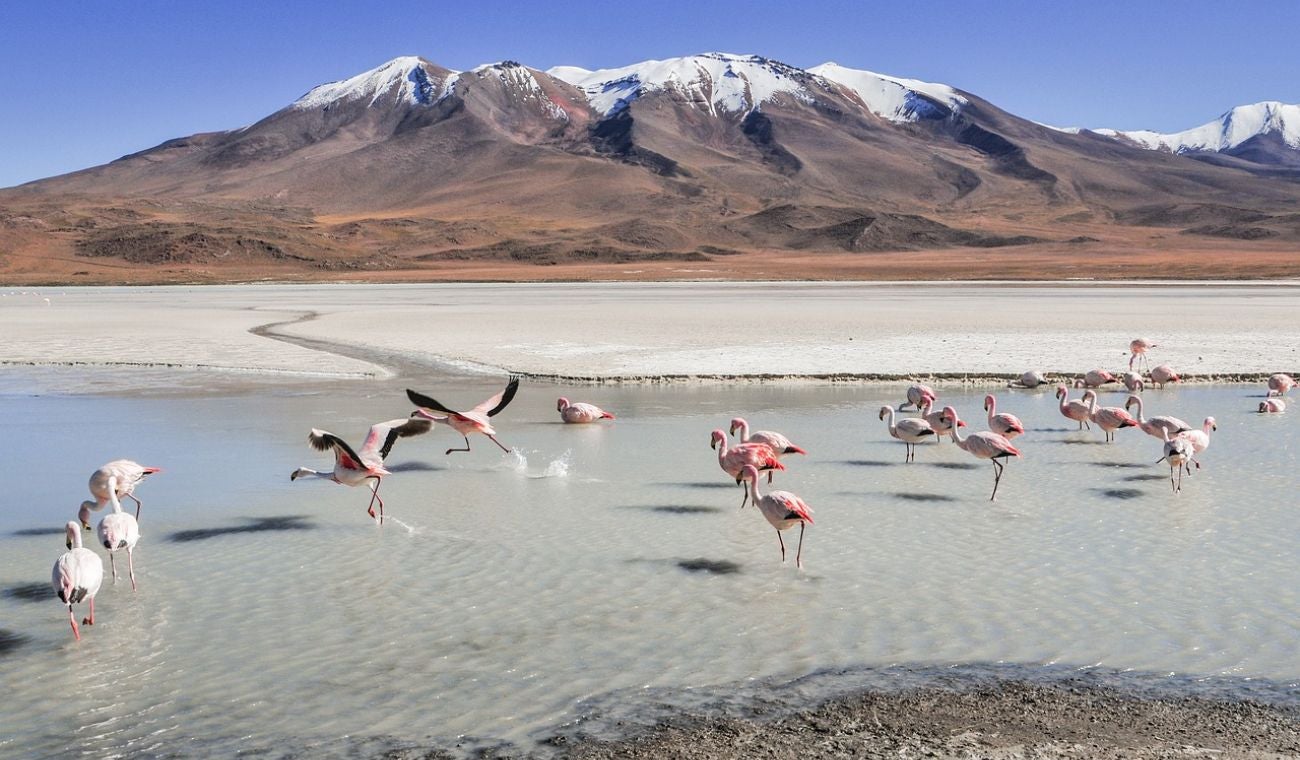 Bolivia