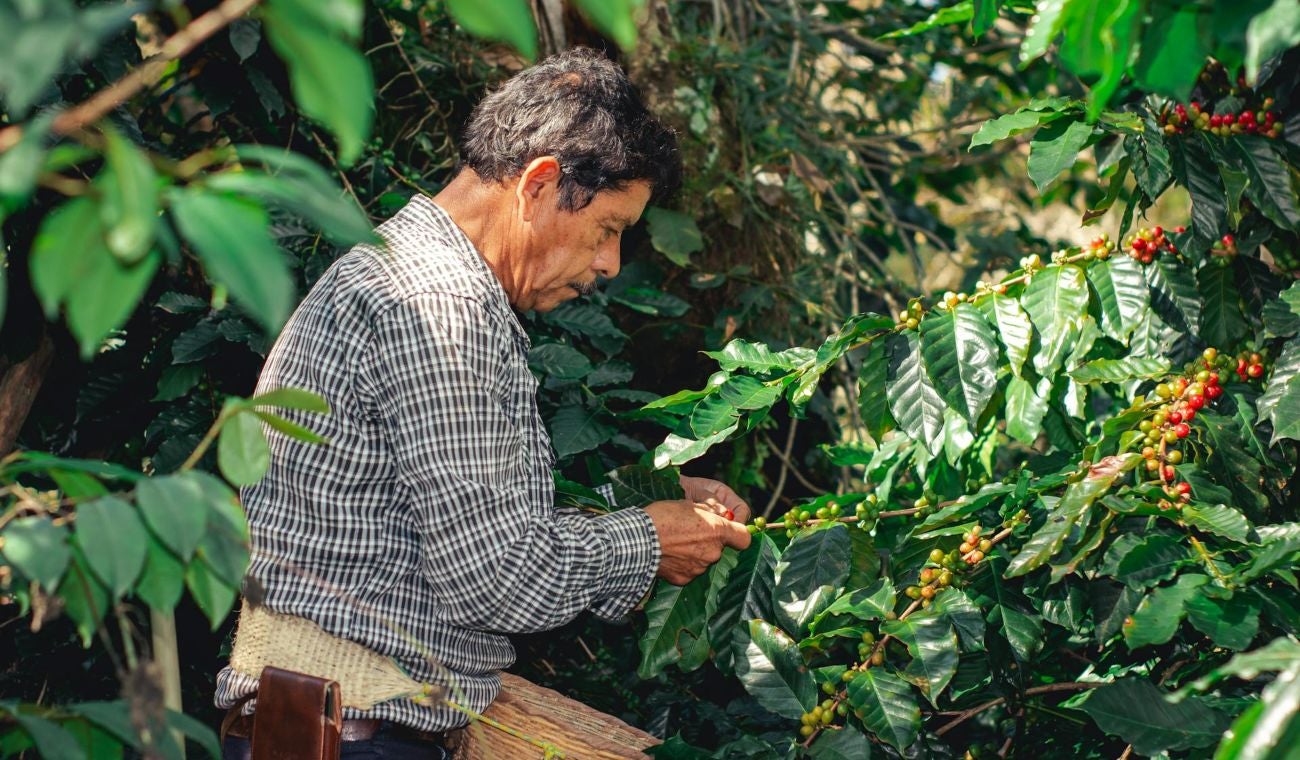 Eje Cafetero