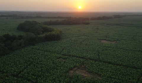 Zona de Urabá