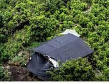 Cultivos de Coca en el Catatumbo