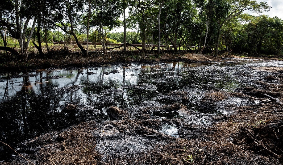Imagen ilustrativa de derrame de petróleo en Ecuador podría llegar a Colombia