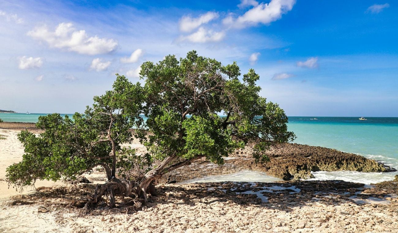Eagle Beach